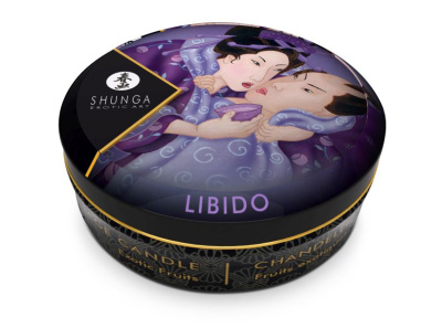 Массажное арома масло в виде свечи, Exotic Fruits мини 30мл.Экзотический фрукт (4602DESC)